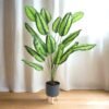 Habere India-All the Cultures Fabricating India Artificial Plants with Pot | Home Decor | Artificial Plants for Decoration