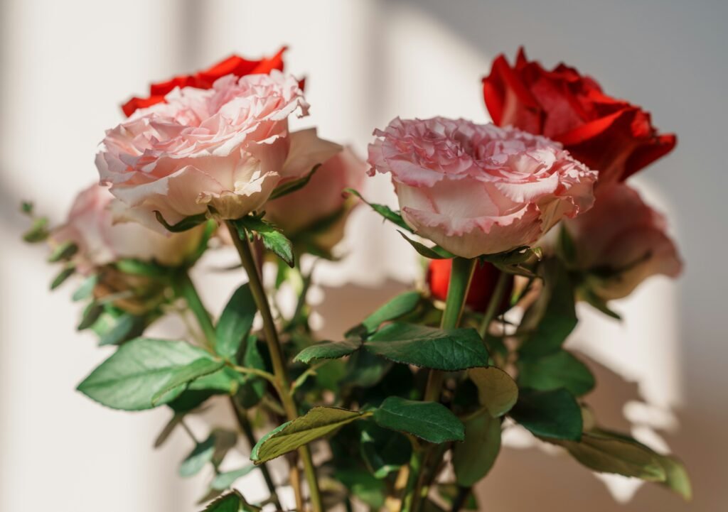 Artificial Flowers vs Real Flowers: Which Is Better for Home Décor?